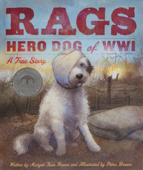 rags-hero-dog.jpg