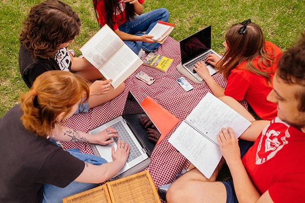 Students sitting in grass studying