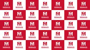 Meeting Background Red and white logos pattern